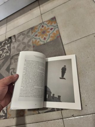 EL libro de los libros (sobre el rye visual)