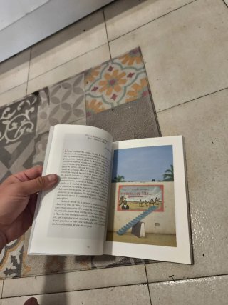 EL libro de los libros (sobre el rye visual)