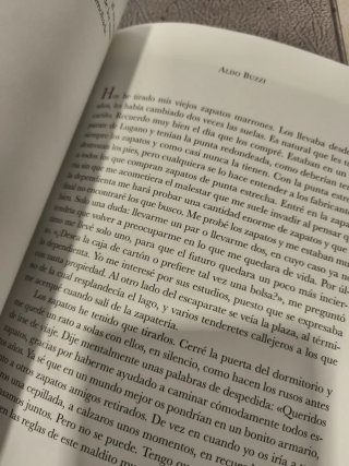 EL libro de los libros (sobre el rye visual)