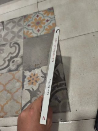 EL libro de los libros (sobre el rye visual)