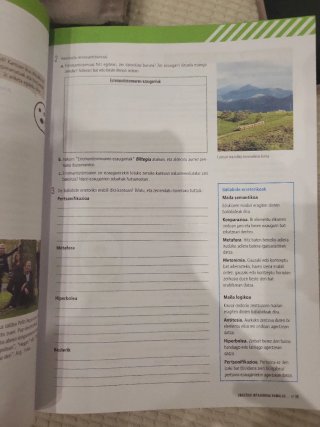 Euskara eta Literatura Batxilergoa 2