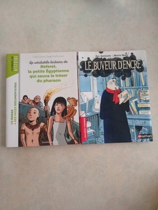Lote 2 libros en francés para niños de 7-8 años