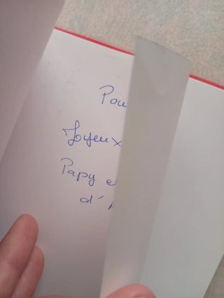 Lote 2 libros en francés para niños de 7-8 años