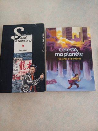 Lote 2 libros en francés para niños 10-11-12 años
