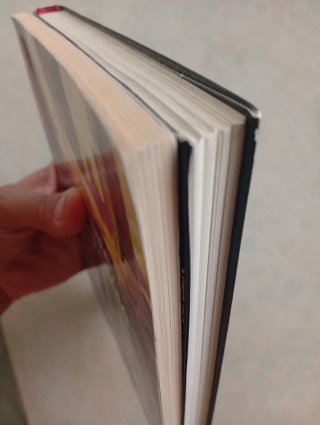 Lote 2 libros en francés para niños 10-11-12 años