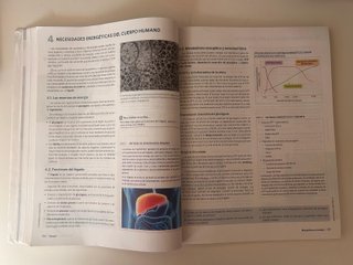 Anatomía Aplicada 1 Bach -Vicens 978-84-1193-157-1