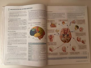 Anatomía Aplicada 1 Bach -Vicens 978-84-1193-157-1