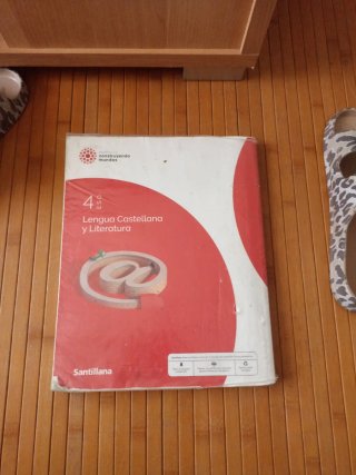 Lengua Castellana y Literatura, 4 ESO, Proyecto...
