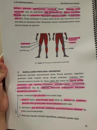 Libro anatomía eta fisiología batxi 1