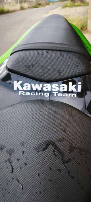 Kawasaki ZX6RR 2008