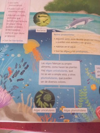Proyecto: FanFest. Ciencias de la Naturaleza 3 ...