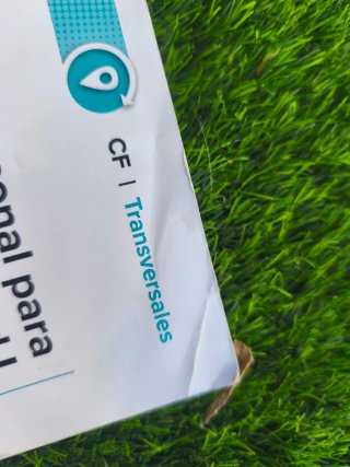 Itinerario personal para la empleabilidad I, CF...
