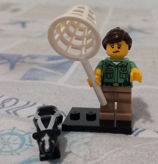 Lego Minifiguras
