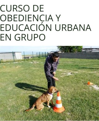 Curso de Obediencia canina y Educación Urbana en G