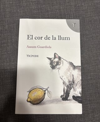 El cor de la llum - Assum Guardiola