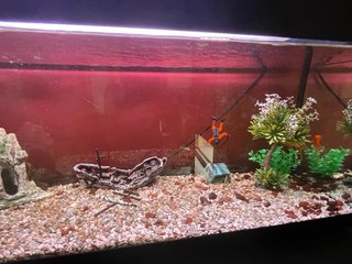 Acuario Pecera Negro y Transparente