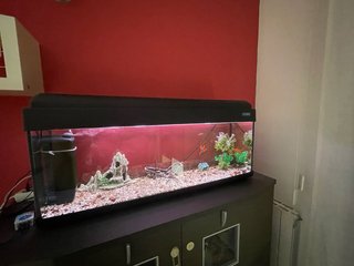 Acuario Pecera Negro y Transparente