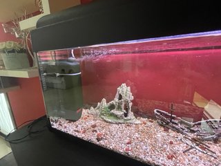 Acuario Pecera Negro y Transparente