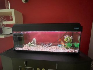 Acuario Pecera Negro y Transparente
