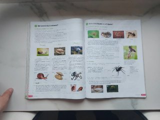 Bioloxía e Xeoloxía. 1 Secundaria. Revoa