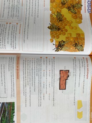 3 libros Matemáticas, 5 Primaria Más Savia