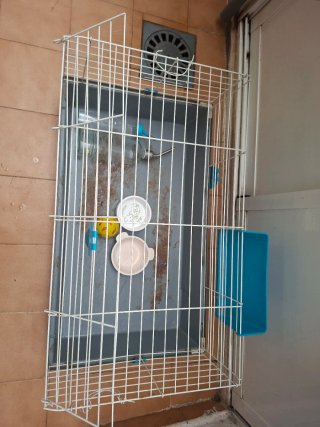 Jaula para conejo y accesorios