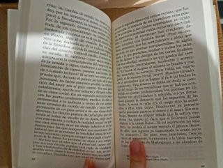 La llama doble amor y erotismo