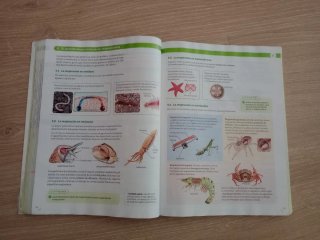Biología, Geología y Ciencias Ambientales 1 Bac...