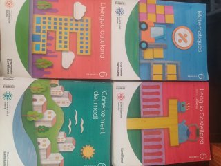 Libros 6° primaria