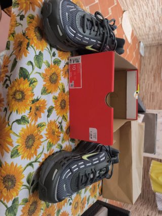 Nike Air Max TL 2.5
