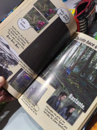 CREPUSCULO DIARIO DE LA DIRECTORA