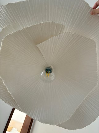 Lámpara Techo Zara Home Doble Hoja