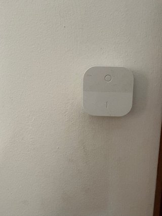Lámpara Techo Zara Home Doble Hoja