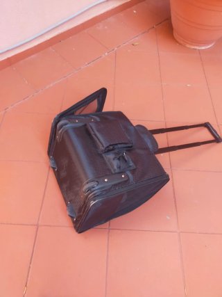 Transportín perro pequeño con ruedas