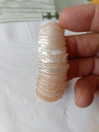 Bracciale di conchiglie madreperla