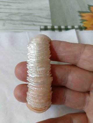 Bracciale di conchiglie madreperla