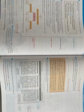 Lengua, 5 Primaria Más Savia