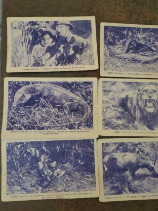 Cromos Remo Satan