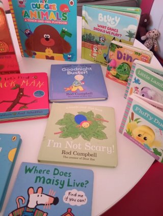 Various English toddler books,lift flap,touch feel