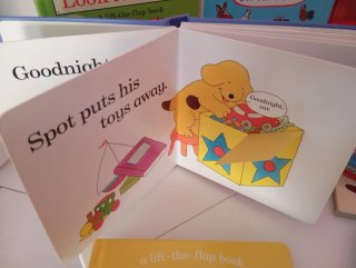 Various English toddler books,lift flap,touch feel