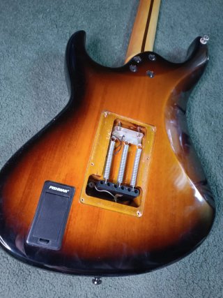 Cort G250P Coreana + Piezo Fishman (revisar)