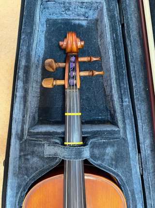 Viola de estudio 15”