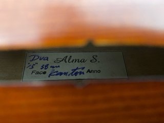 Viola de estudio 15”