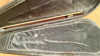 Viola de estudio 15”