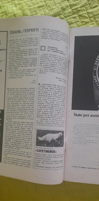 N.25/26 dicembre 1980storico della rivista Diana