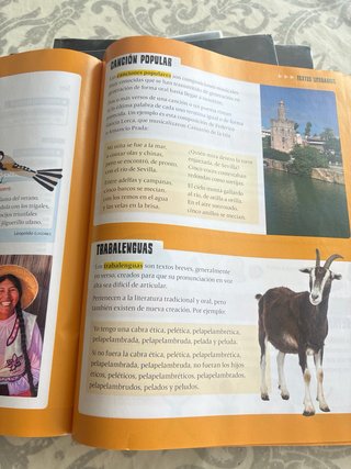 Lengua Castellana y Literatura 4, Segundo Ciclo...