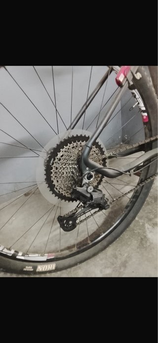 3 Bicicletas + 2 Accesorios