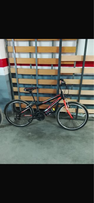 3 Bicicletas + 2 Accesorios