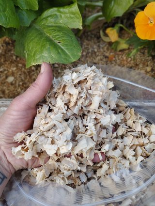 2 Bolsas Viruta Gruesa Sin Polvo 700g
