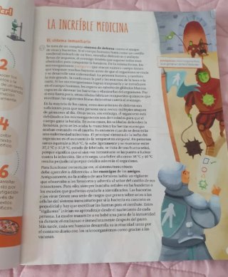 Libros Revuela Lengua 6°